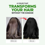 Natural Black Hair Color Apple Aloe Vera 3
